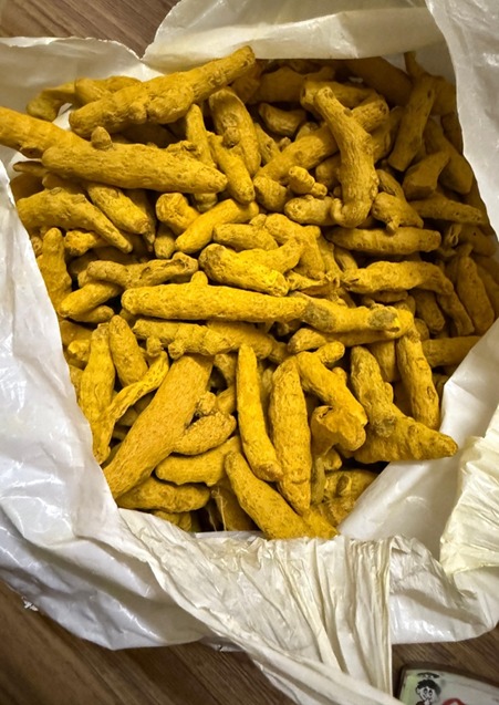 Turmeric